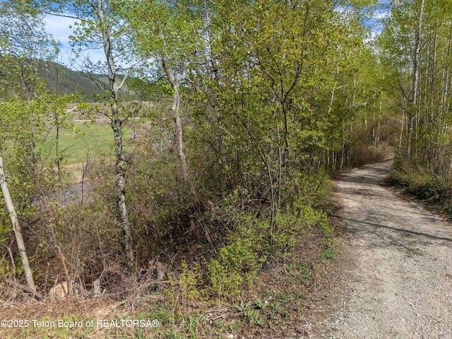 185 River Bench Rd, Thayne, WY 83127 - view of road