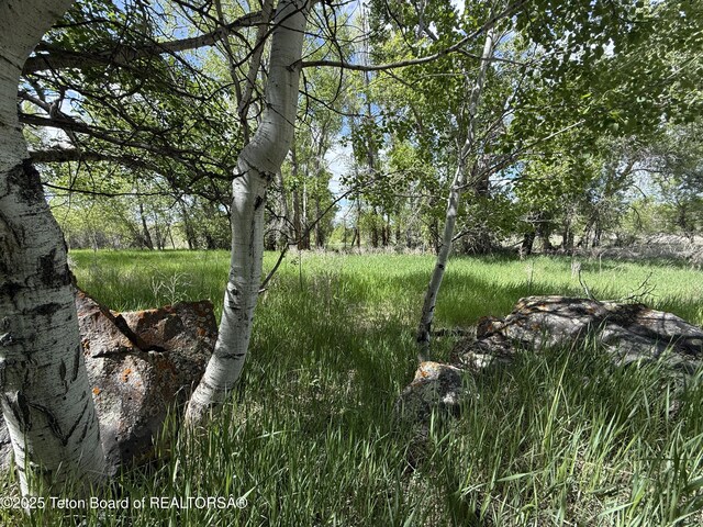2750 E 2750 E Unit 2750, Newdale, ID 83436 - photo 11