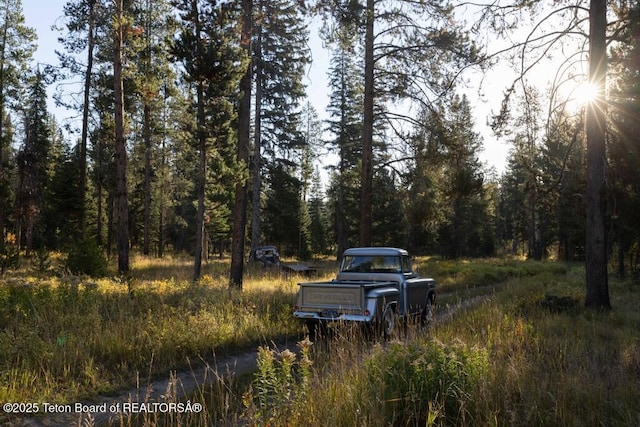6650 W Gill Huff Rd, Wilson, WY 83014