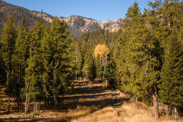 6650 W Gill Huff Rd, Wilson, WY 83014
