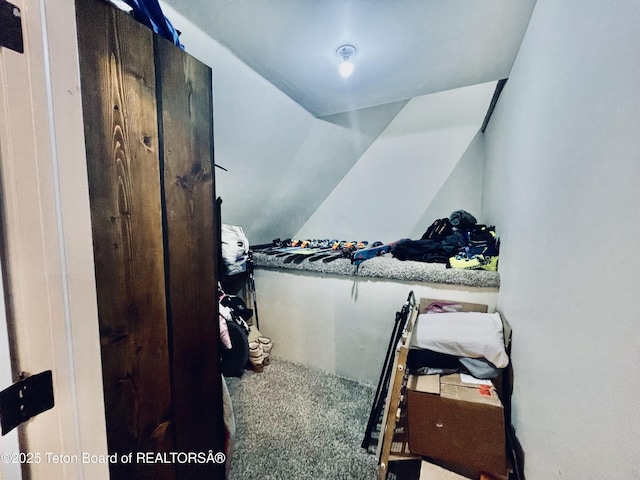 61 Astorian Ln, Smoot, WY 83126 - walk in closet with carpet flooring and vaulted ceiling