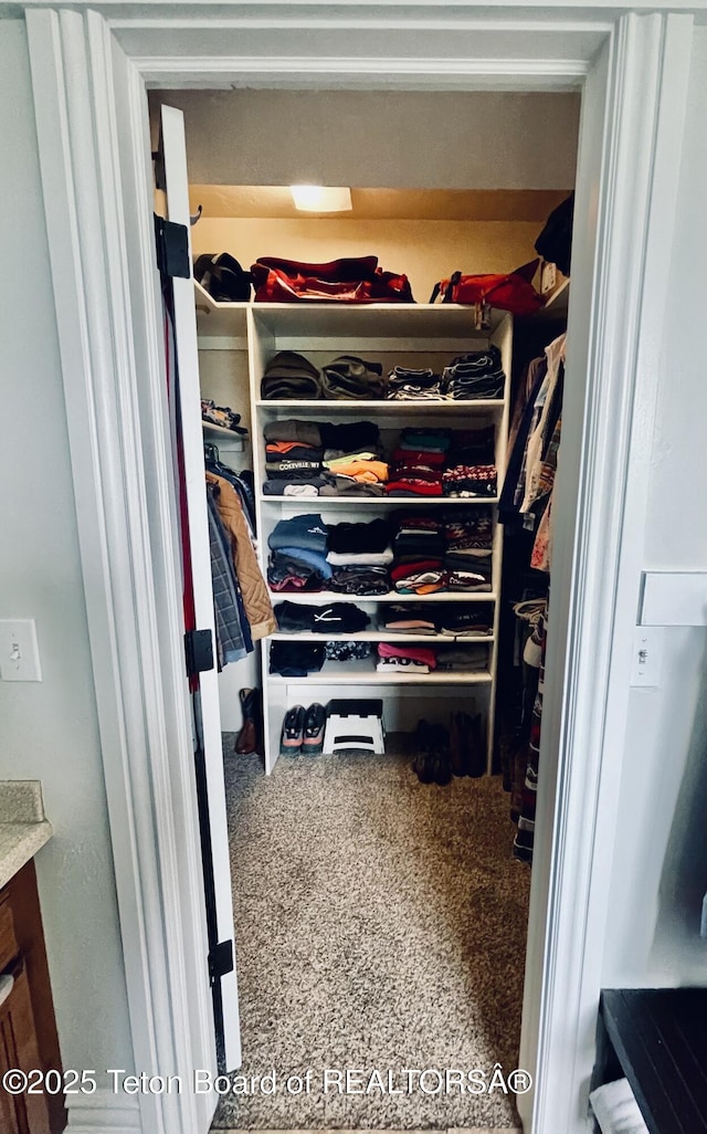61 Astorian Ln, Smoot, WY 83126 - view of closet