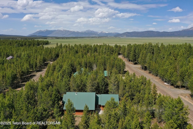 4515 Weslin Trl, Island Park, ID 83429 - aerial view of a mountainous background