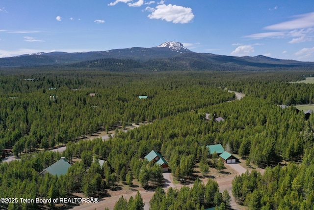 4515 Weslin Trl, Island Park, ID 83429 - bird's eye view of a forest and a mountainous background