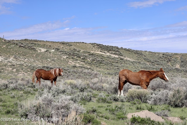 31 Cutoff Rd, Daniel, WY 83115 - exterior view