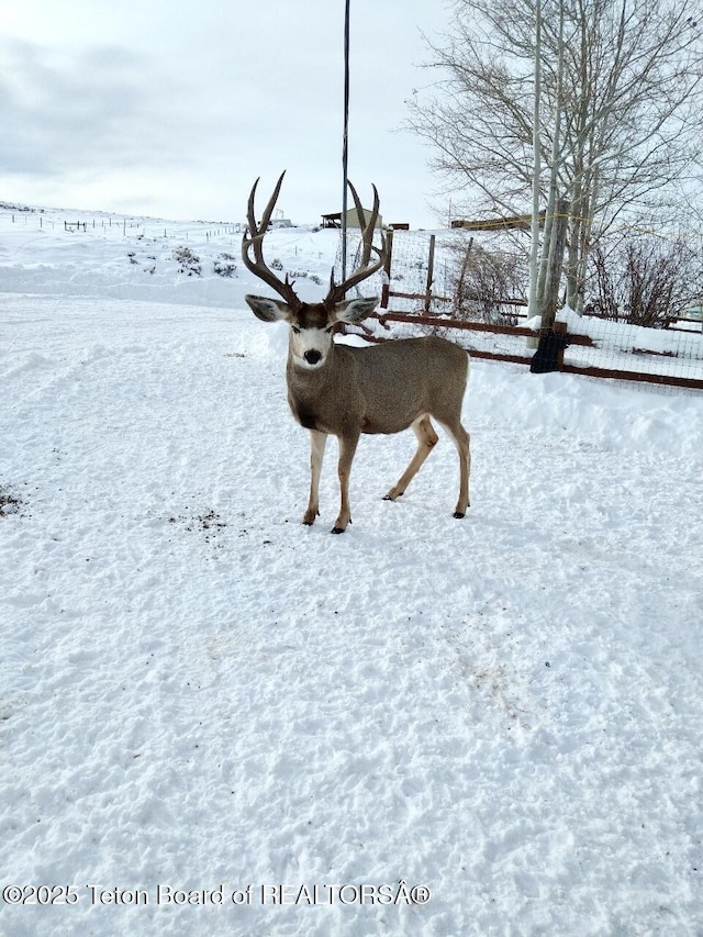 31 Cutoff Rd, Daniel, WY 83115 - exterior view