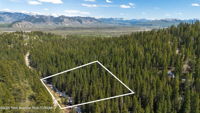 6600 W Paintbrush Trl, Wilson, WY 83014 - photo 12