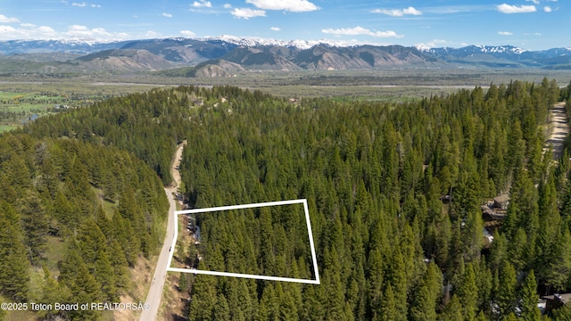 6600 W Paintbrush Trl, Wilson, WY 83014 - photo 10