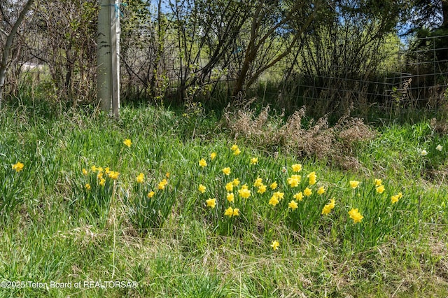 10920 S Hwy 89, Hoback Jct, WY 83001 - photo 13