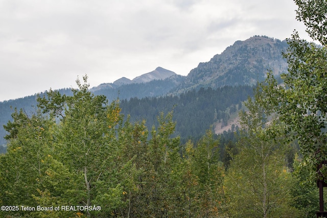 3670 W Michael Dr Unit E-21-E, Teton Village, WY 83025 - view of mountain background featuring a heavily wooded area