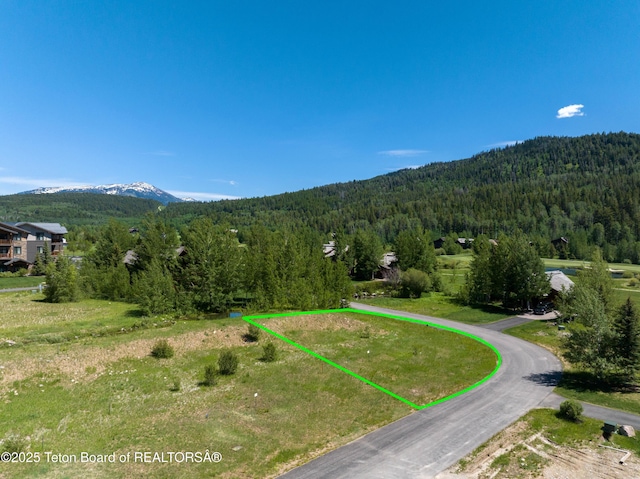 42 Warm Creek Ln, Victor, ID 83455