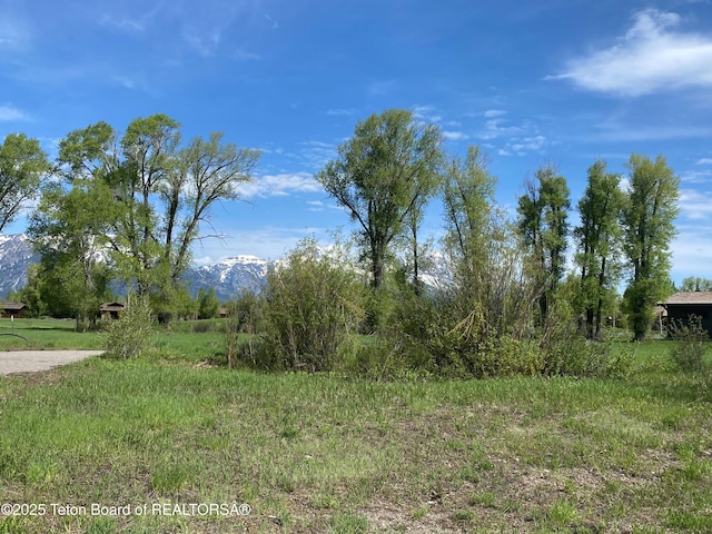 6045 N Spring Gulch Rd, Jackson, WY 83001