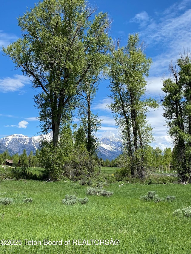 6045 N Spring Gulch Rd, Jackson, WY 83001