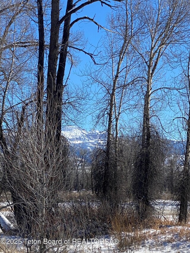 6045 N Spring Gulch Rd, Jackson, WY 83001