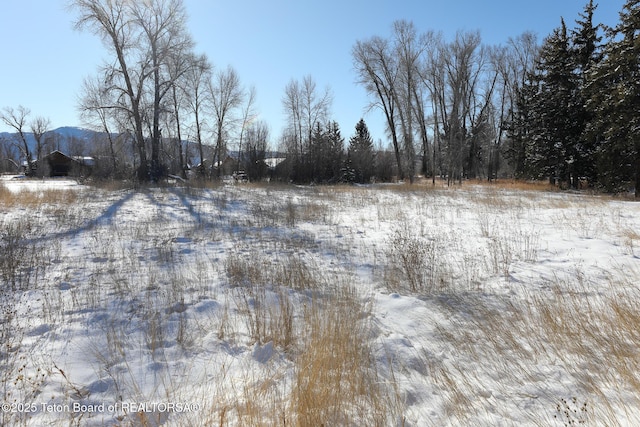 6045 N Spring Gulch Rd, Jackson, WY 83001