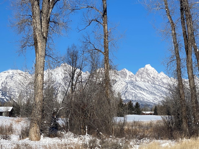 6045 N Spring Gulch Rd, Jackson, WY 83001