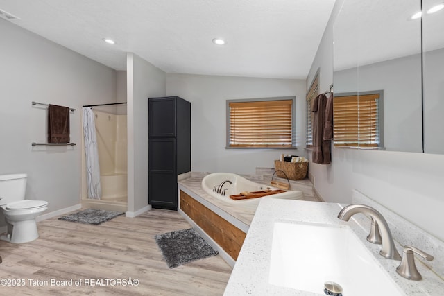 366 E 5th Ave, Afton, WY 83110 - full bath with toilet, a bath, a stall shower, wood finished floors, and lofted ceiling