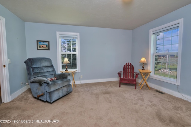 2697 Rendezvous Dr, Driggs, ID 83422 - living area with carpet and baseboards