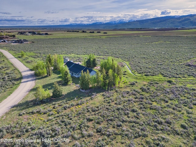 2697 Rendezvous Dr, Driggs, ID 83422 - overview of rural landscape with a mountainous background