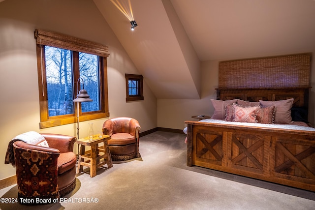 2815 N Black Sheep Farm Rd, Alta, WY 83414 - photo 22
