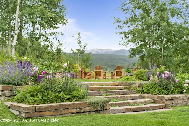 2815 N Black Sheep Farm Rd, Alta, WY 83414 - photo 30