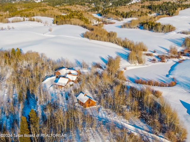 2815 N Black Sheep Farm Rd, Alta, WY 83414 - photo 39