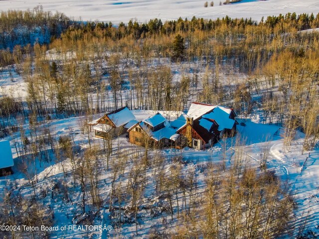 2815 N Black Sheep Farm Rd, Alta, WY 83414 - photo 40
