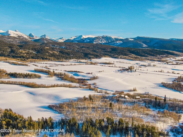 2815 N Black Sheep Farm Rd, Alta, WY 83414 - photo 41
