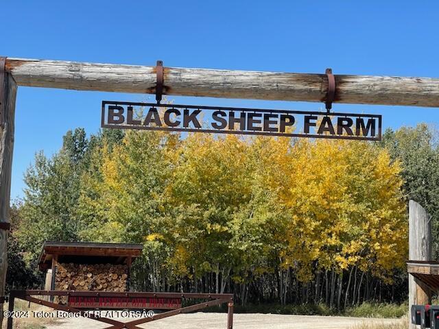 2815 N Black Sheep Farm Rd, Alta, WY 83414 - photo 44