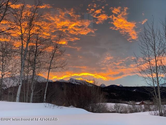 2815 N Black Sheep Farm Rd, Alta, WY 83414 - photo 46