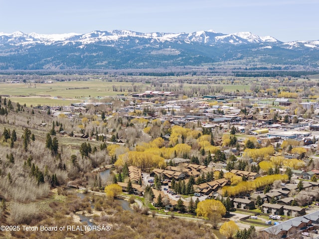 826 Powderhorn Ln Unit C, Jackson, WY 83001 - view of mountain background