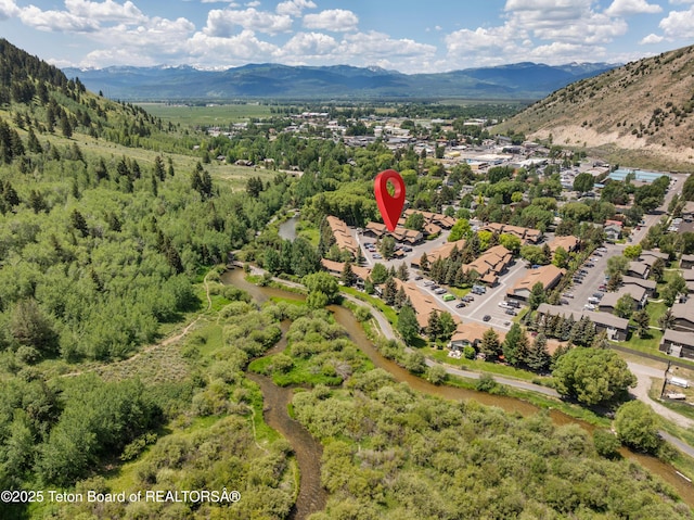 826 Powderhorn Ln Unit C, Jackson, WY 83001 - photo 33