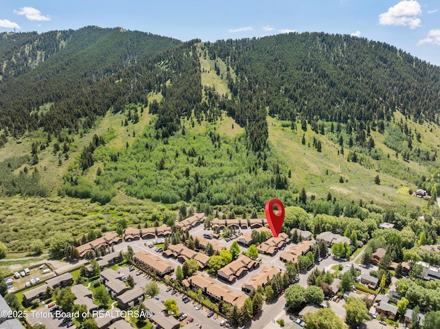 826 Powderhorn Ln Unit C, Jackson, WY 83001 - photo 31
