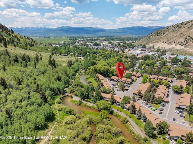826 Powderhorn Ln Unit C, Jackson, WY 83001 - photo 35