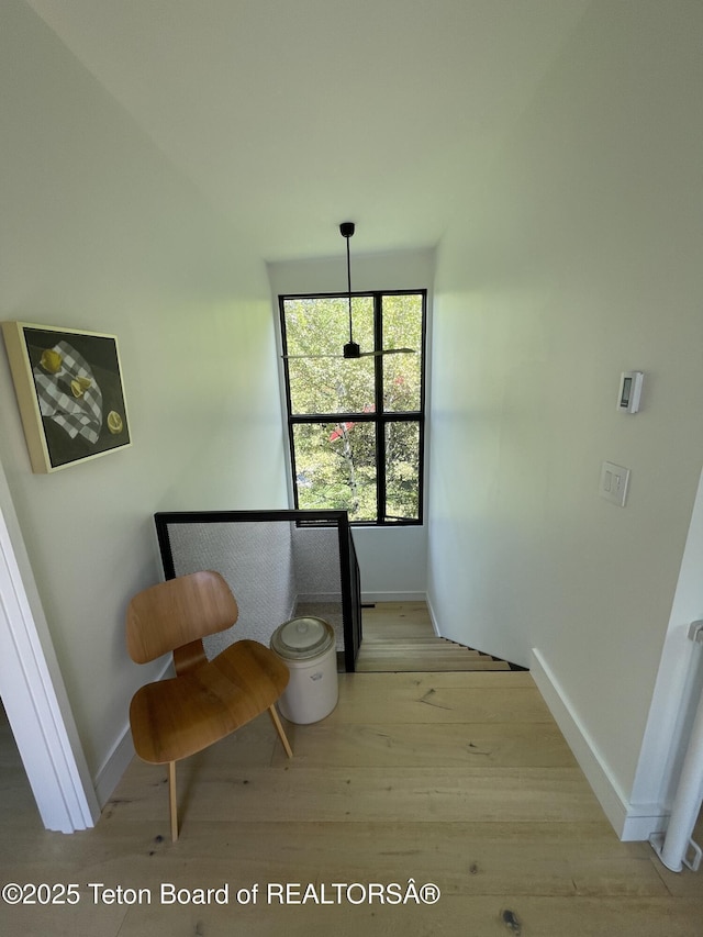 125 Pine Dr, Jackson, WY 83001 - hallway featuring wood finished floors and baseboards