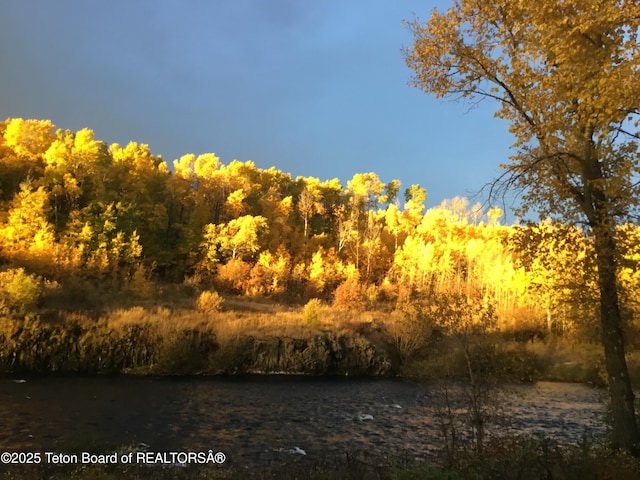 4641 N River Hollow Dr, Ashton, ID 83420 - water view
