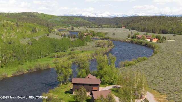 4641 N River Hollow Dr, Ashton, ID 83420 - bird's eye view of a heavily wooded area and a water and mountain view