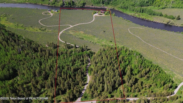 4641 N River Hollow Dr, Ashton, ID 83420 - view of property location with property boundaries highlighted, a heavily wooded area, and a nearby body of water