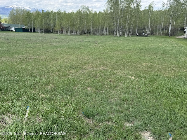LOT38 Prater Canyon Dr, Star Valley Ranch, WY 83127