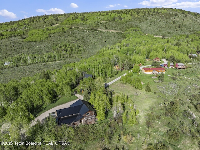 2077 Highland Way, Victor, ID 83455 - aerial view of property's location with a heavily wooded area
