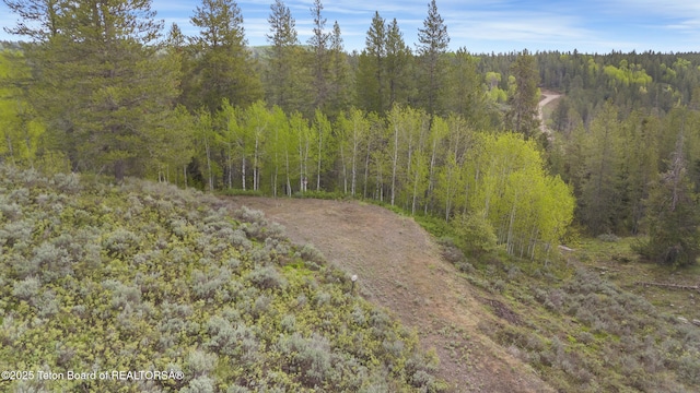 1530 Potpourri Dr, Ashton, ID 83420