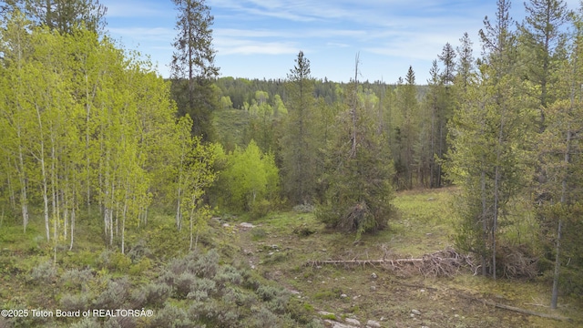 1530 Potpourri Dr, Ashton, ID 83420