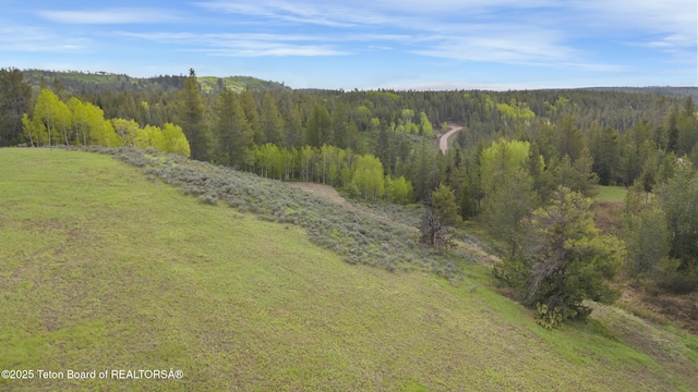 1530 Potpourri Dr, Ashton, ID 83420