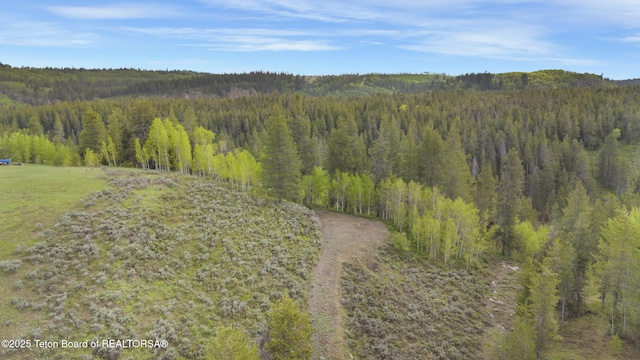 1530 Potpourri Dr, Ashton, ID 83420