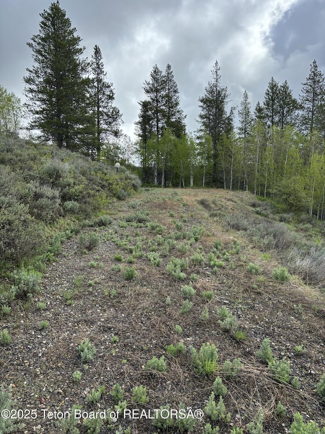1530 Potpourri Dr, Ashton, ID 83420