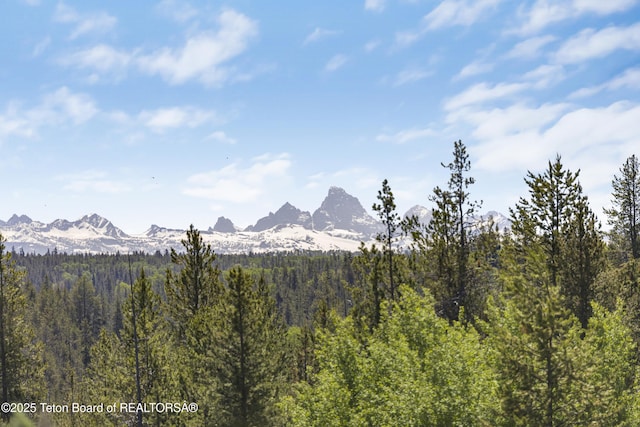 1530 Potpourri Dr, Ashton, ID 83420