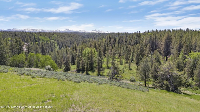 1530 Potpourri Dr, Ashton, ID 83420