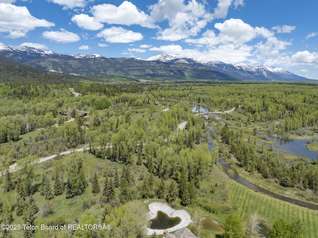 5725 W Caddis Fly Dr, Wilson, WY 83014 - bird's eye view of a water and mountain view