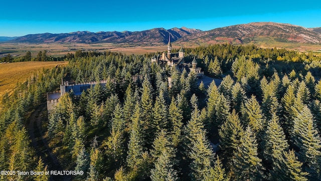 2150 Robinson Ln, Bedford, WY 83112 - photo 45