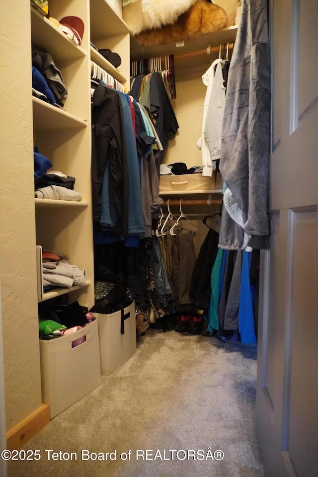 418 Par Ave, Pinedale, WY 82941 - spacious closet with carpet